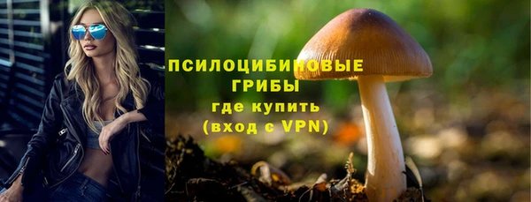 стафф Беломорск